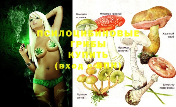 mix Аркадак