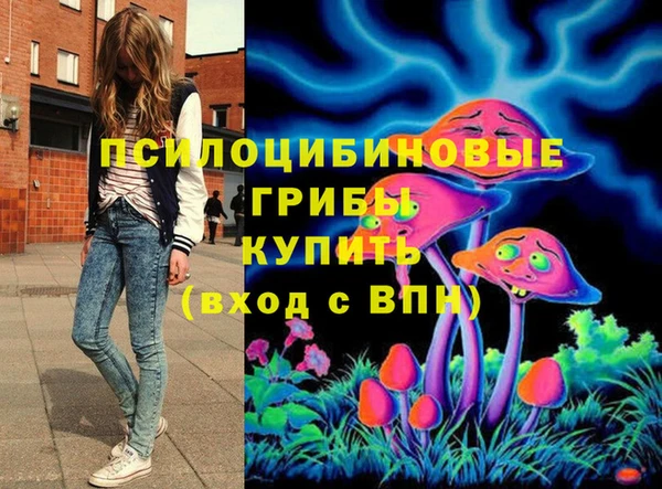 МДПВ Арсеньев