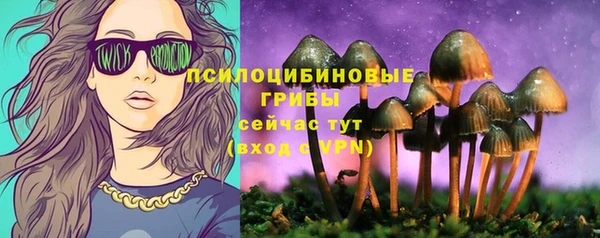 МДПВ Арсеньев