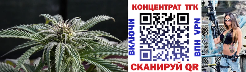ТГК Wax  Саров 